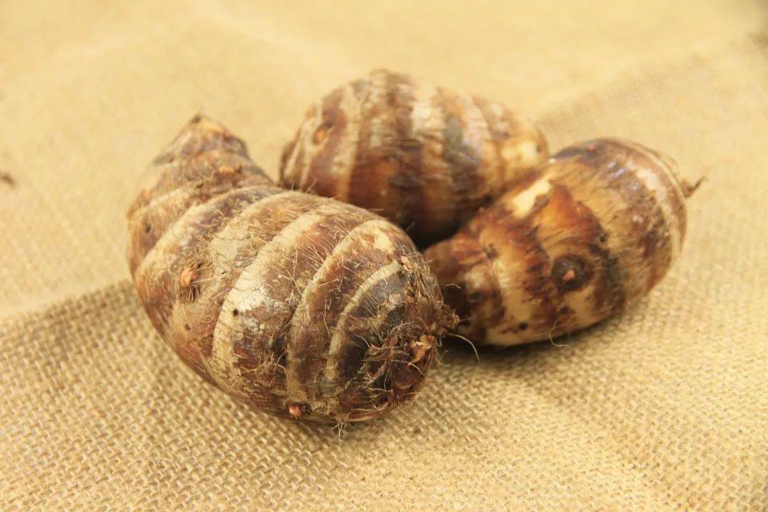 新毛芋艿,让你"芋"罢不能!