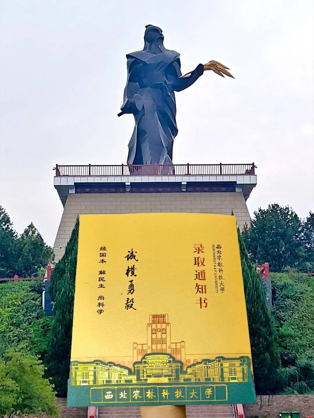 杨凌雕像是谁图片