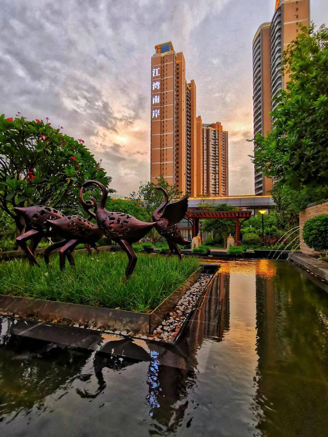 水韵东江诗画江湾丨江湾南岸全民摄影大赛获奖作品公布