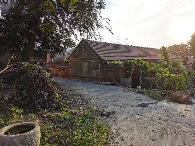 实拍胶东农村初秋街景看了有没有想家