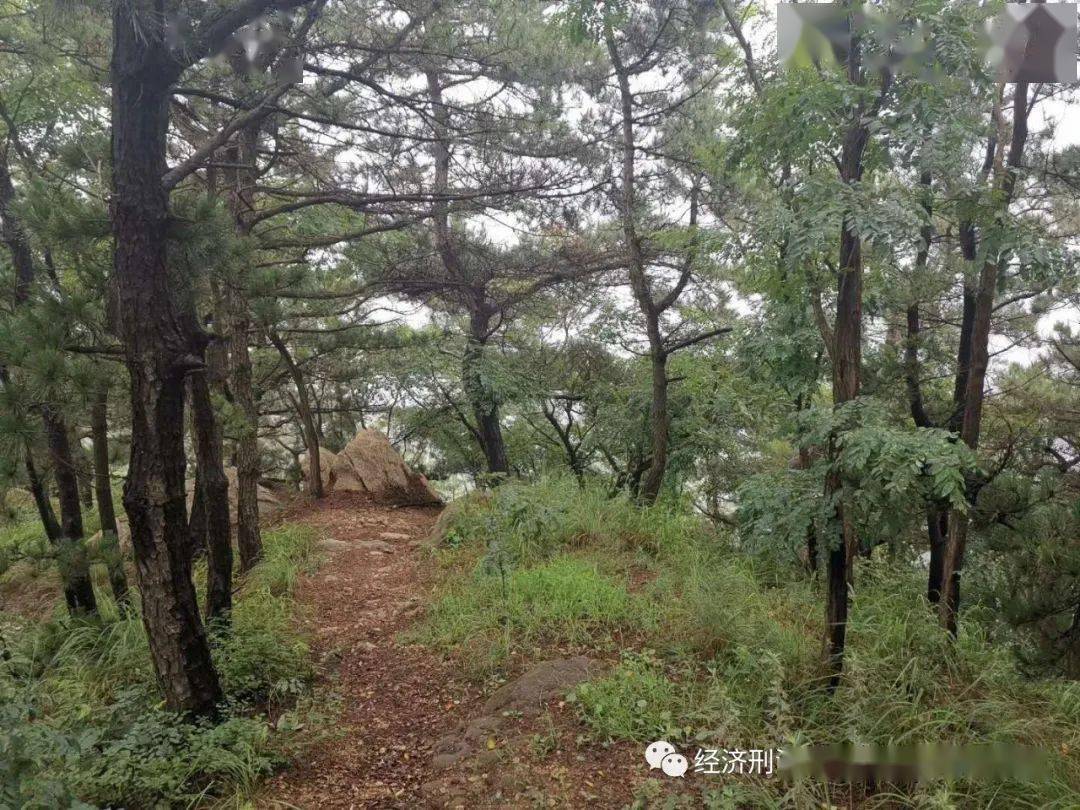 松间沙路净无泥