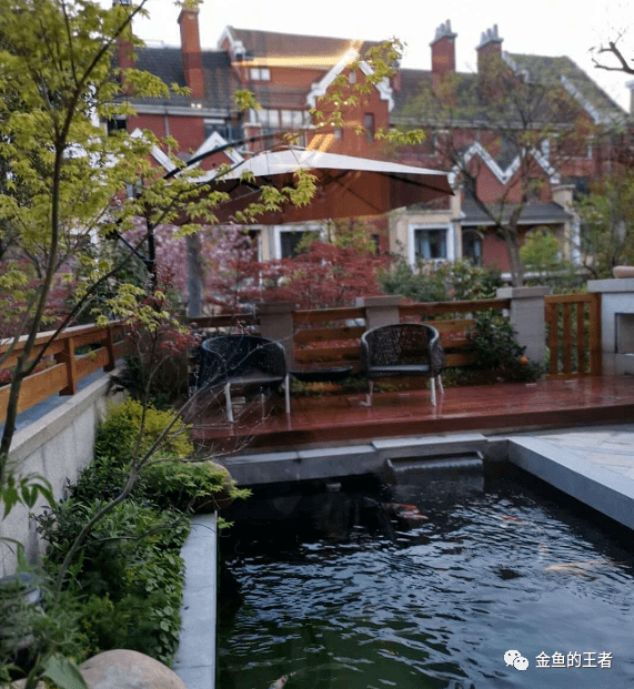 空中天井鱼池1吨水体养国寿