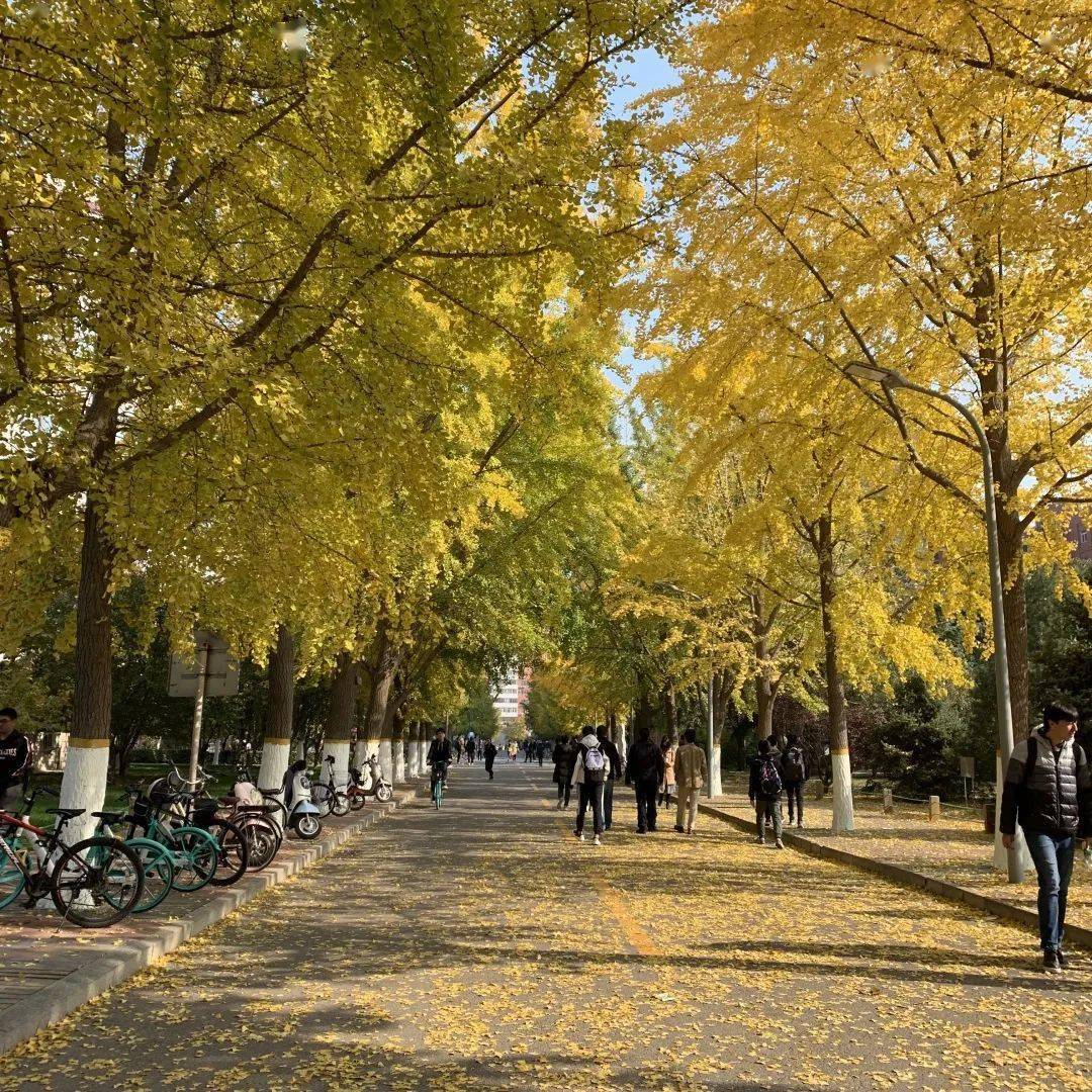 揭秘|在北京交通大學的生活竟然是這樣的!