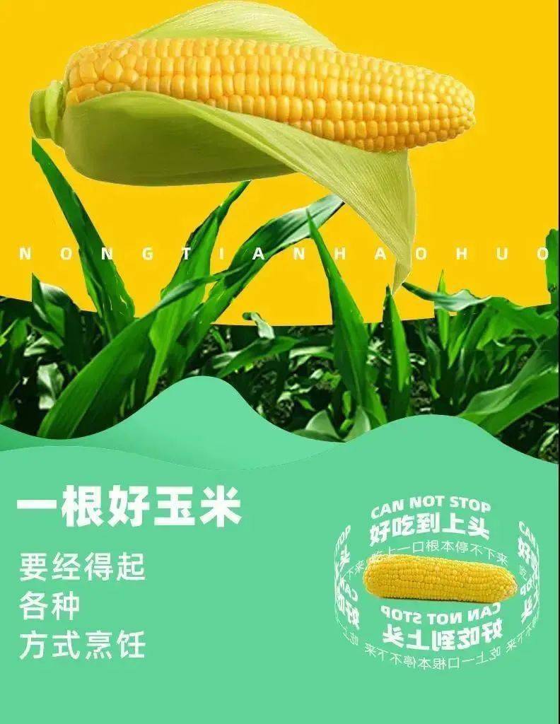 产地食材▎鲜食富硒玉米香脆多汁吃了就停不下来