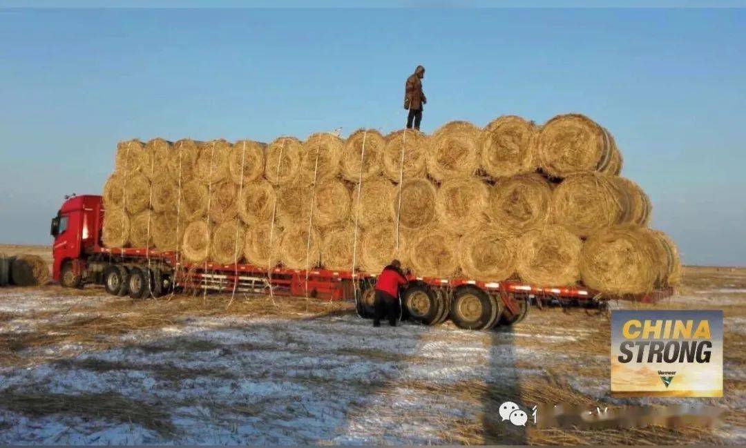 在同等条件下,大圆捆装车量为76包/车,高质量圆捆装车重量为19吨/车