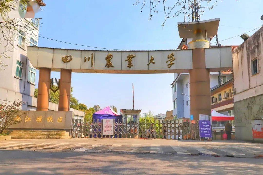 新生攻略|q&a,你的问题我来回答