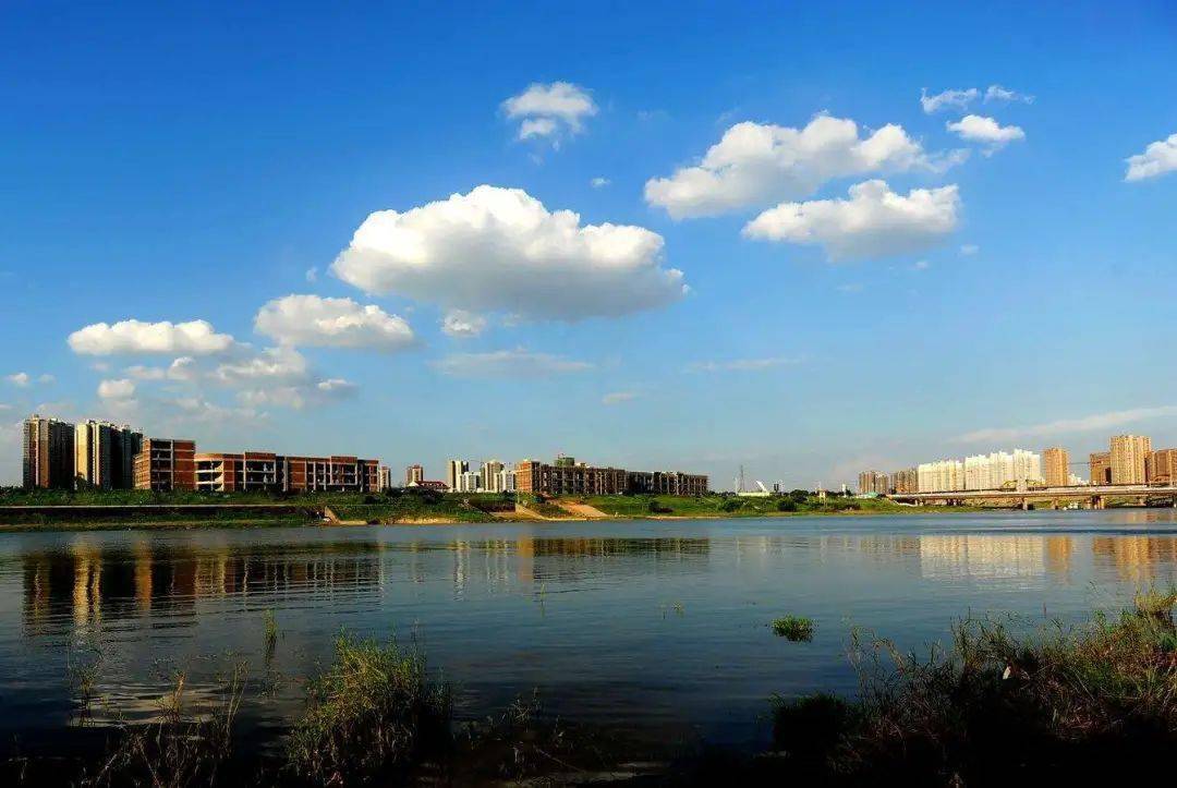 潘碧灵一行调研长沙捞刀河水生态环境保护工作