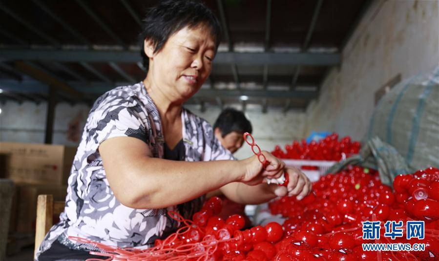 想在家里办个小加工厂 自己想在家开个小加工厂