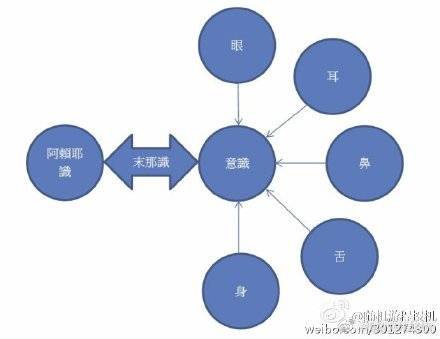 ayx官方网站：释教中按数字排序的基本观点(图8)
