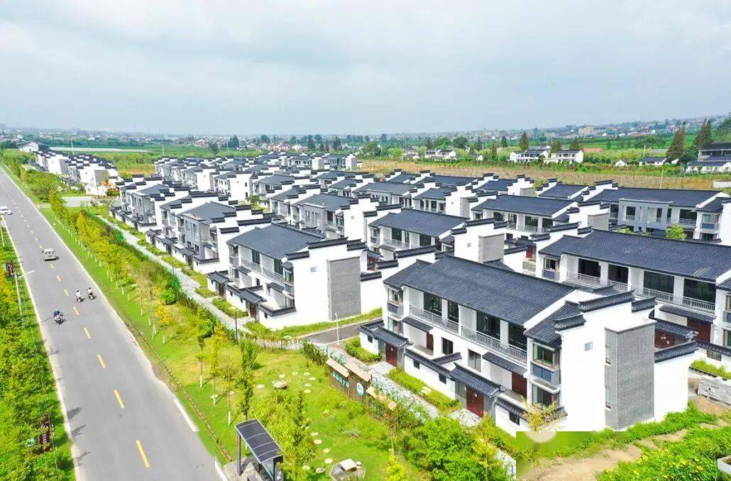 村,安丰镇红安村,弶港镇巴斗村和八里村,梁垛镇临塔村和三仓镇兰址村