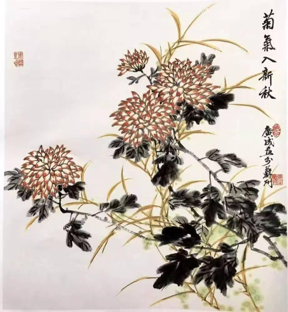 一學就會名家教你畫菊花