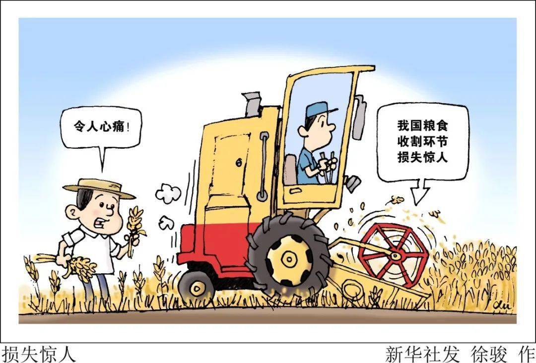 一年损失700亿斤,颗粒归仓为何难实现?_收割机