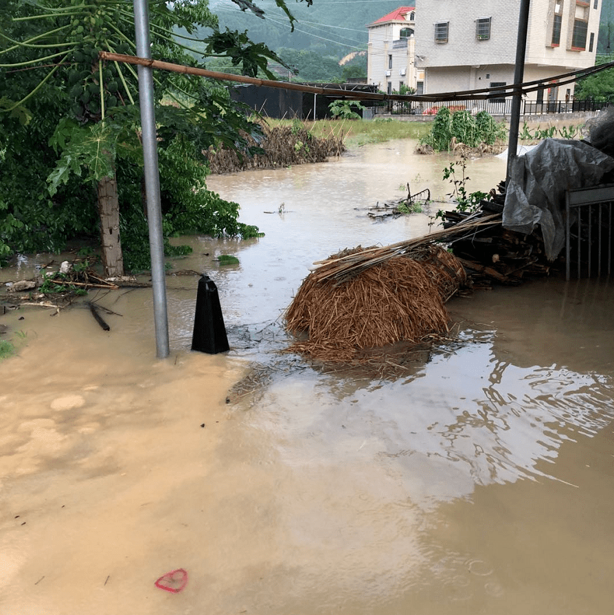 汤坑居民惊魂一刻暴雨来袭河水漫堤入屋
