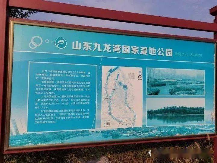 枣庄开建九龙湾国家湿地公园啦