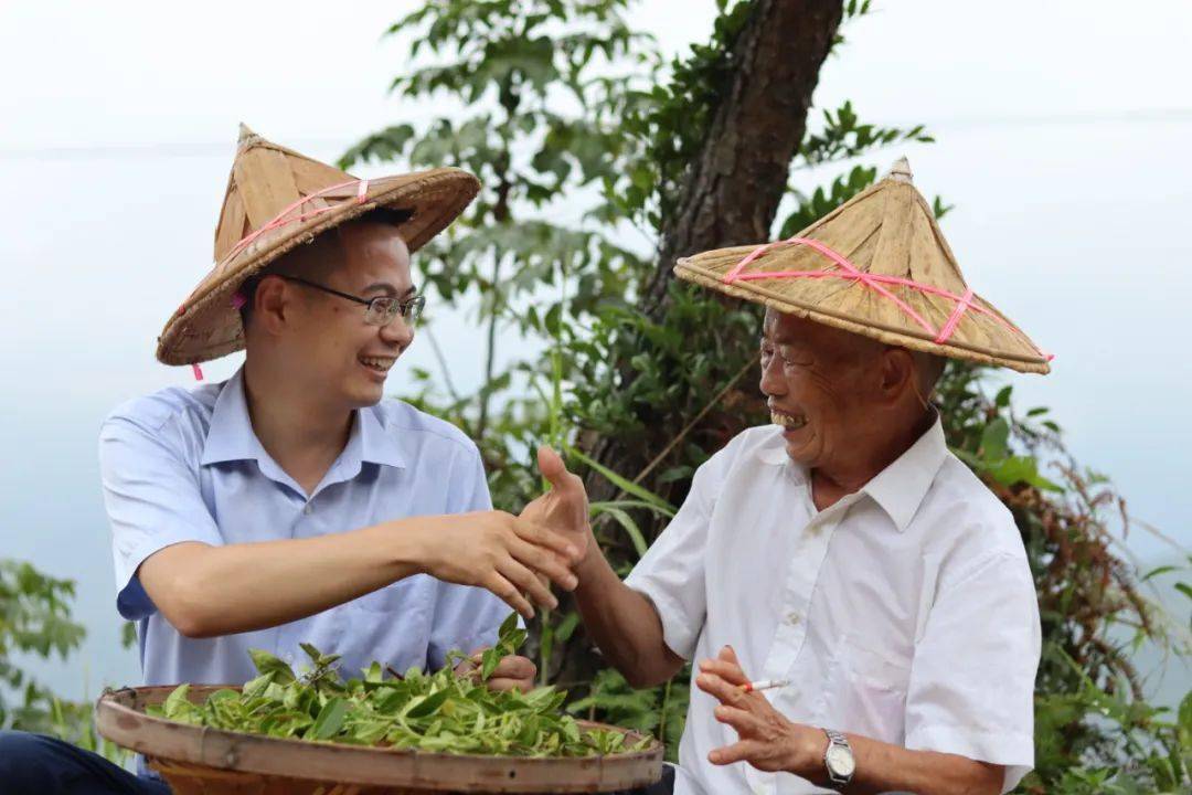 安溪茶农,请查收您的专属备用金