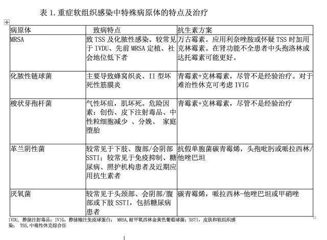 严重皮肤和软组织感染治疗