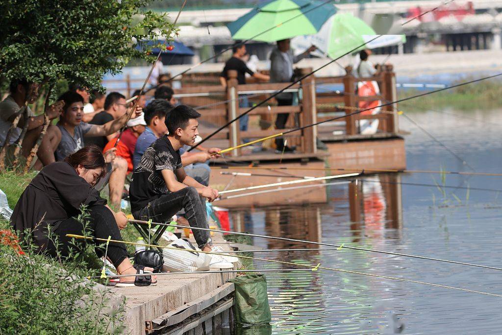 青岛市民河边排排坐周末钓鱼消遣时光