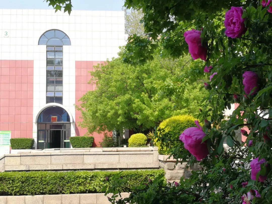 教师节特辑济南旅游学校的老师们真情告白愿用青春岁月谱一曲动人的歌