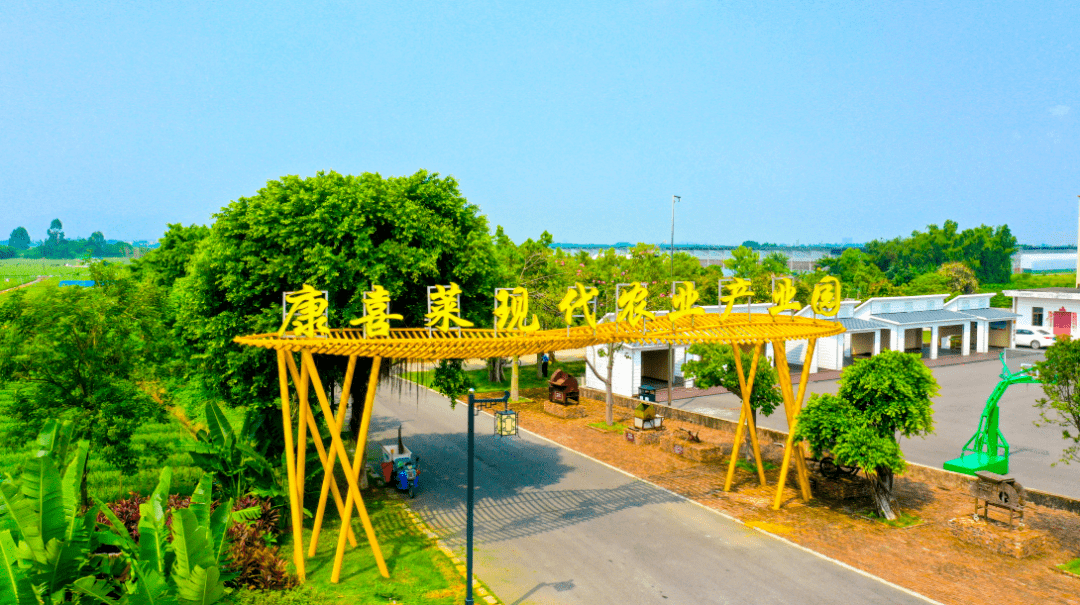 颜值内涵双提升白坭四好农村路带出美丽经济