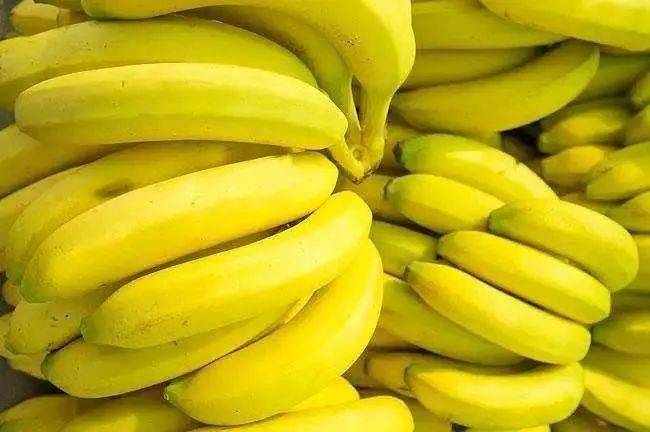 其中最适合大规模种植的品种就是香芽蕉,也叫华蕉