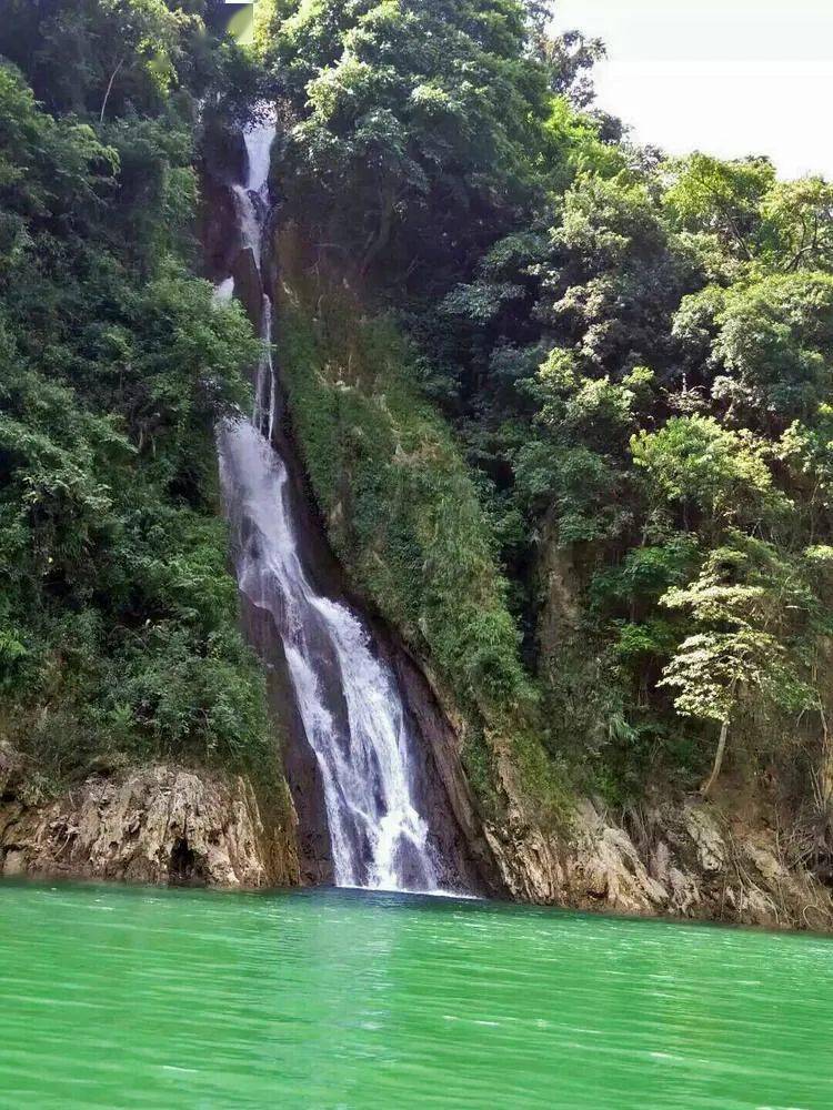 马关花坝神谷庄园61一个山美水美的地方_坝子