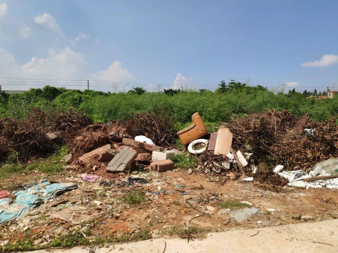 城市管理赞与弹荒地摇身变美丽公园vs乡村小道黑点乱堆垃圾