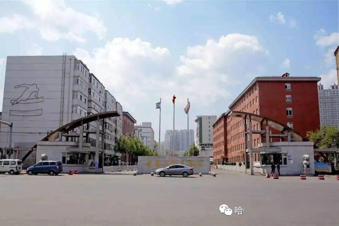 青媒61开学季哈体欢迎你回家