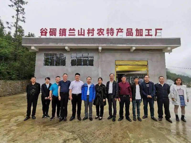 我院组织专家赴贵州省麻江县调研和指导蕨菜加工厂建设