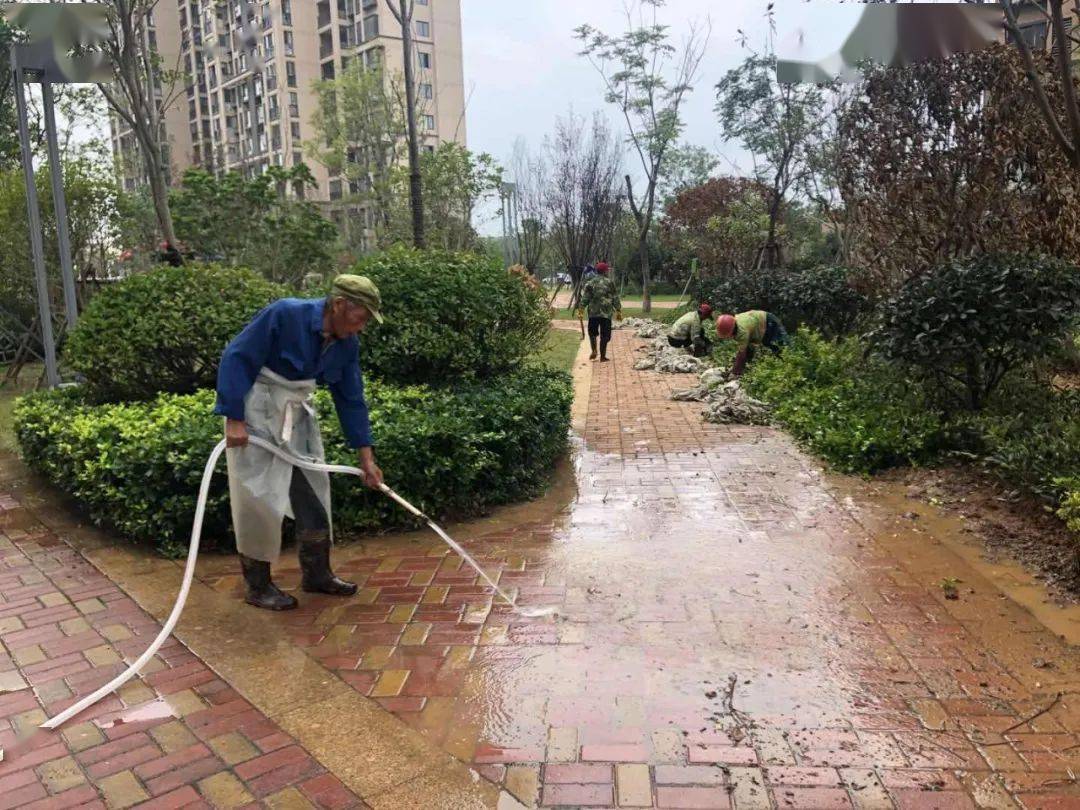 人文我们心语绿化整治美化小区环境