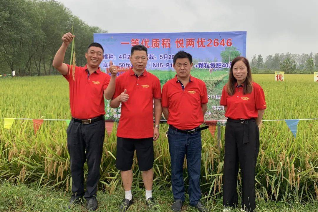 图文百余名经销商晴雨追新悦两优2646河南省级观摩会举行