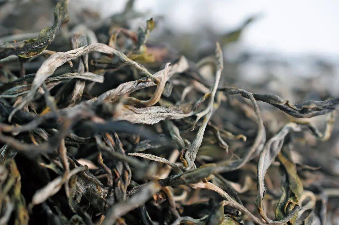 毛茶拍卖有多大的市场