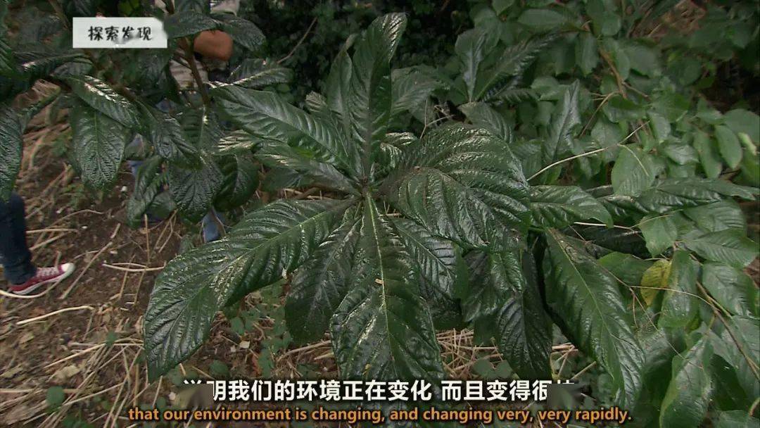图说纪录片生命博物馆4