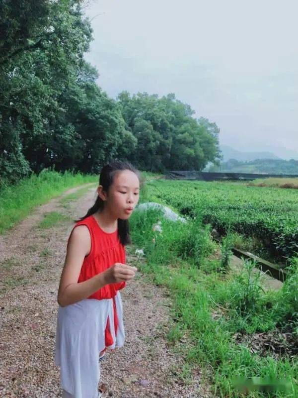 浙江钟凌薇紫薇花指导老师杨凌琳