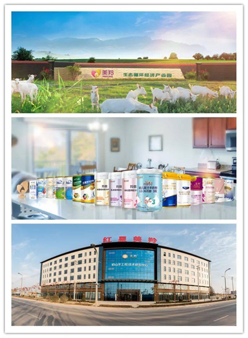 2020武汉孕婴童产业峰会举行 红星美羚被授予"突出贡献"奖