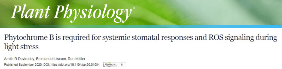 了一篇題為題為phytochrome b is required for systemic stomatal