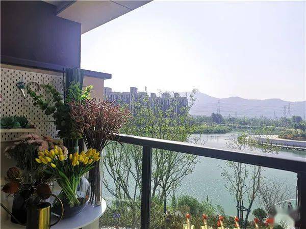 【重磅新品】2020金辉开发区湖居新品——云庭水岸倾城绽放-搜狐大视