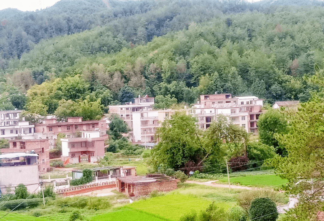 村村晒美龙华乡18个村居颜值已全部刷新