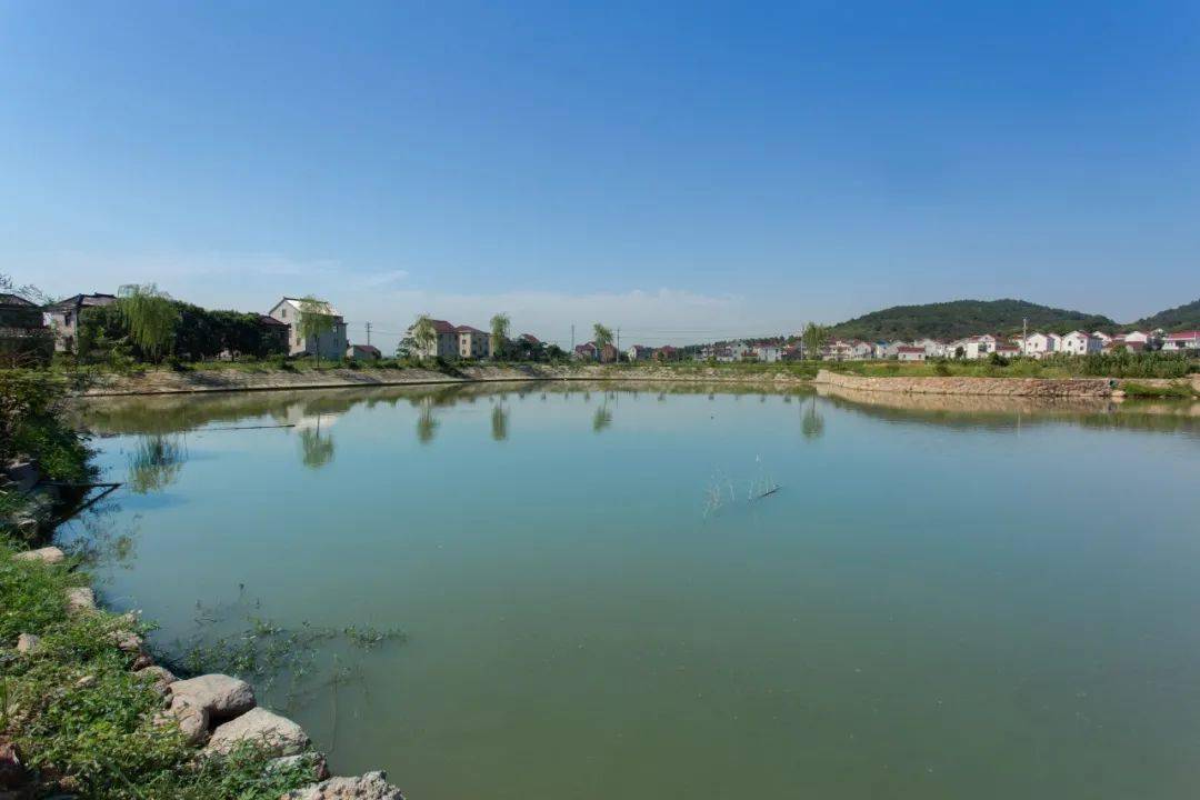 周潭镇枫林村枫沙湖畔排楼人家