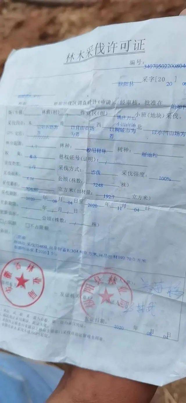 又一例未批先建养猪场圈地迁坟为猪让路