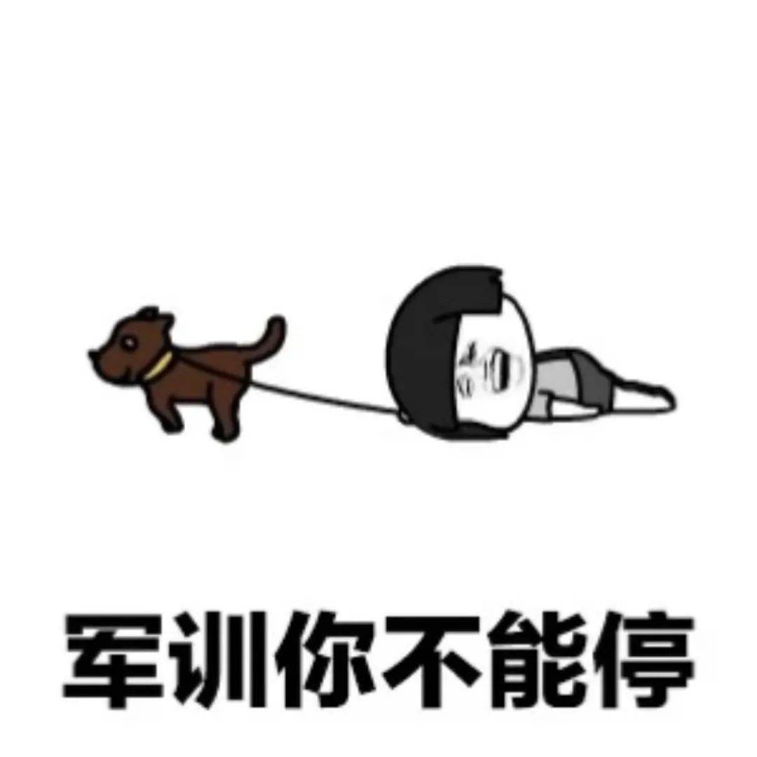 曲园生活给2020级小萌新们的军训指南来啦