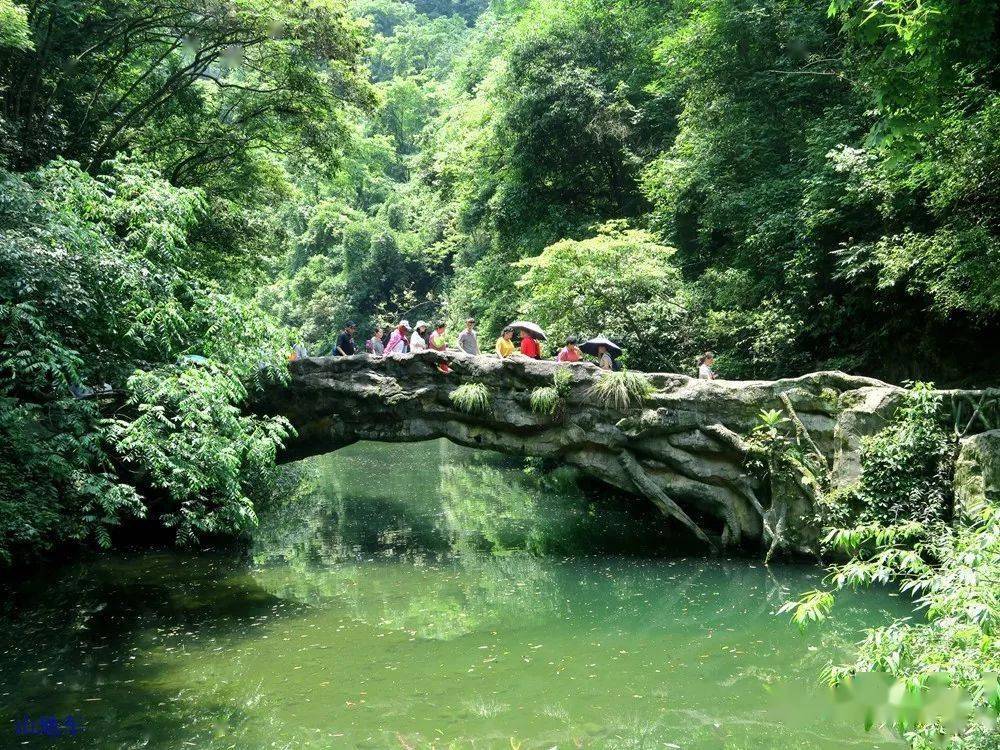 【最新活动】"与爱同行,惠游湖北"——宜昌三峡大瀑布 情人泉,99元/人