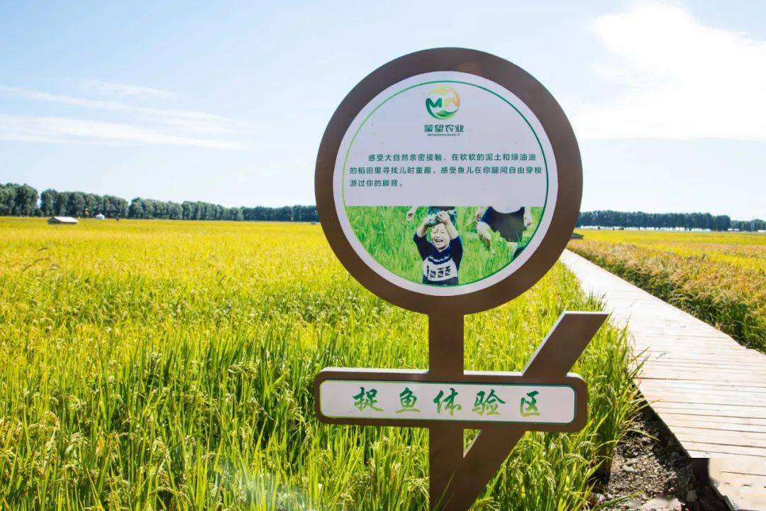 【中国农民丰收节】明天相约义勒力特镇敖包山稻田公园,丰收节精彩