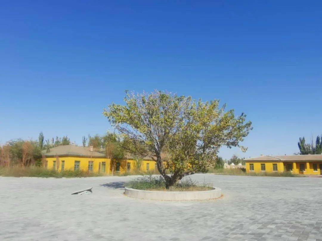 【文物保护】小李庄军垦旧址抢险加固修缮工程顺利通过验收