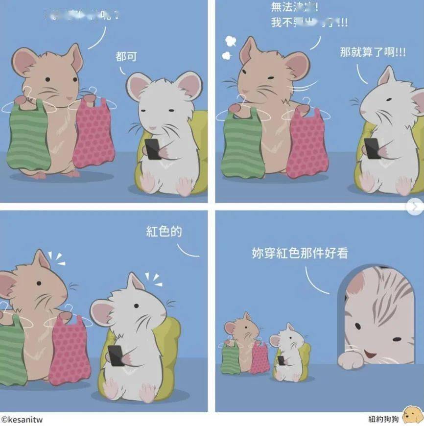 一本正经的搞笑最为致命这波无厘头漫画过于可爱了