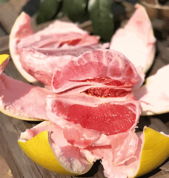 640_676gif 动态图 动图