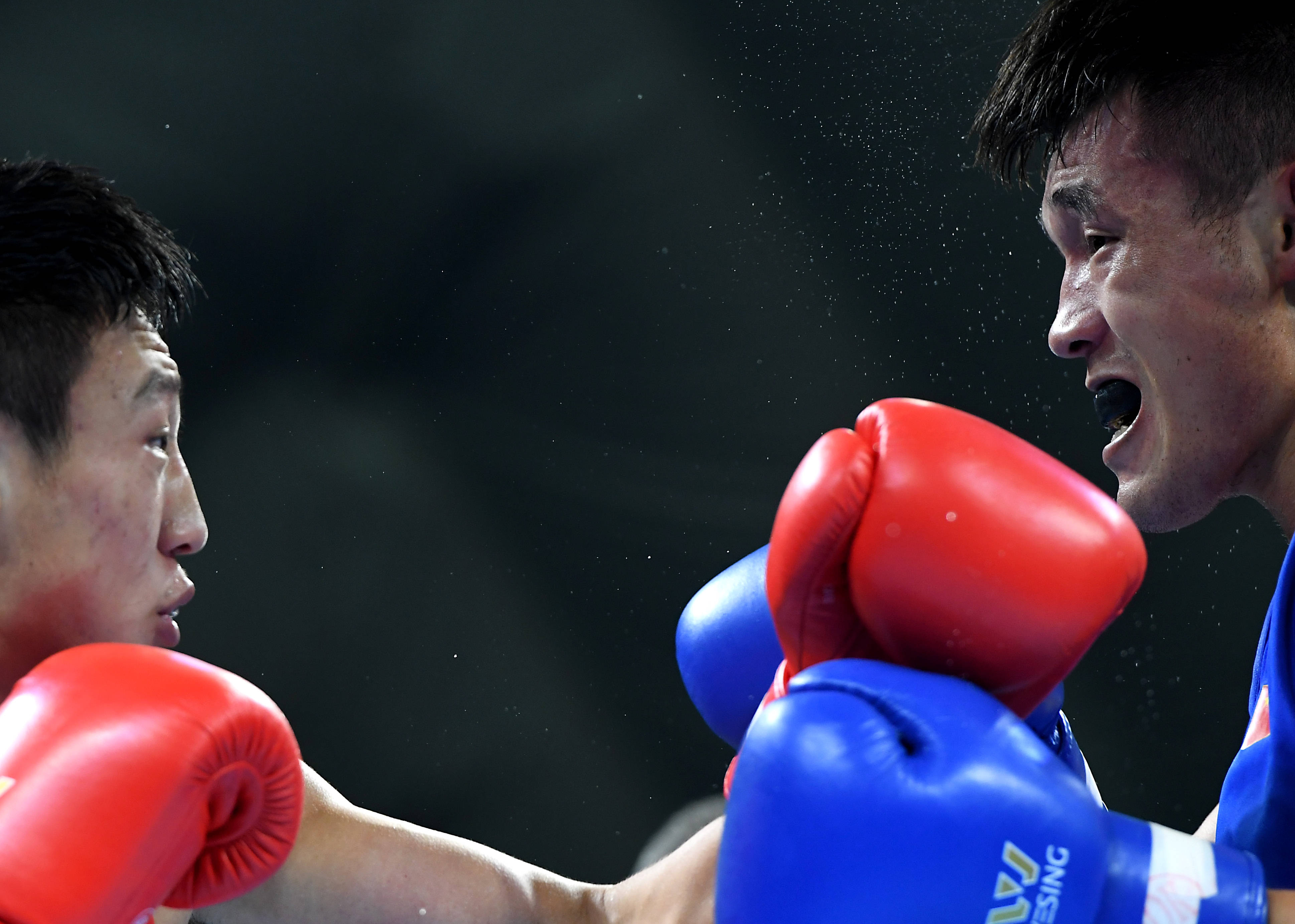 拳击全国男子锦标赛陈大祥夺得81公斤级冠军