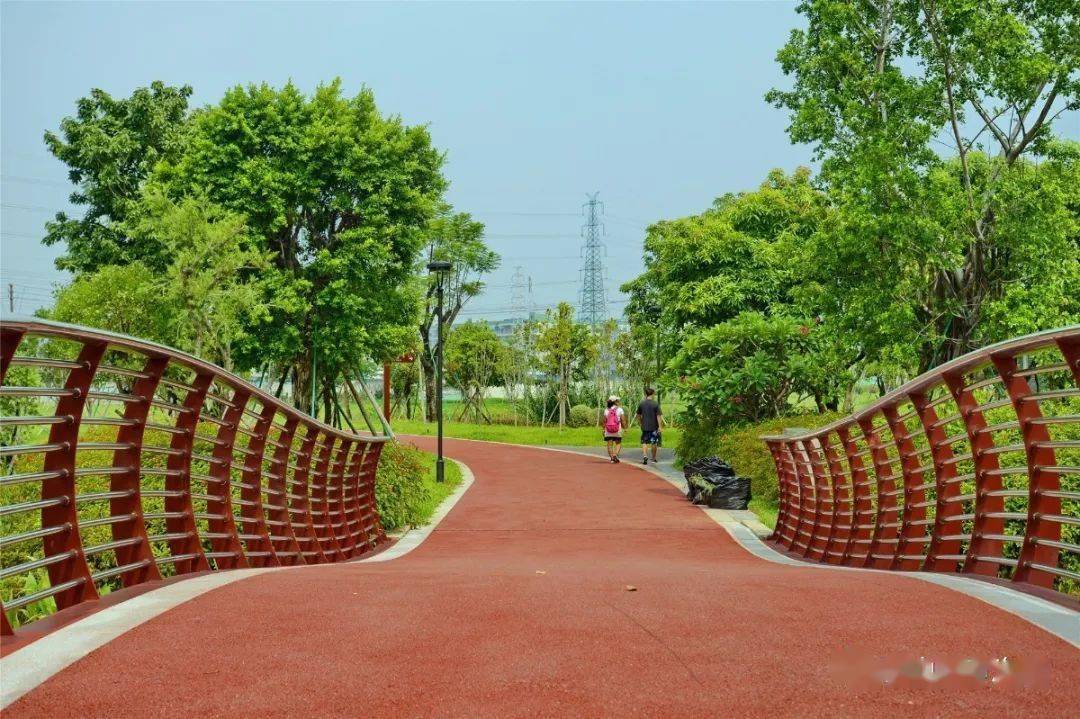 森林公園,文旅新地標,濱水岸線…帶你無死角領略禪城魅力!