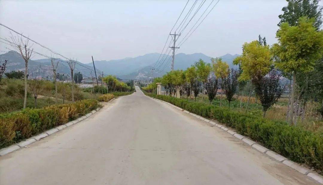 硬化绿化亮化美化费县这里的乡村靓起来