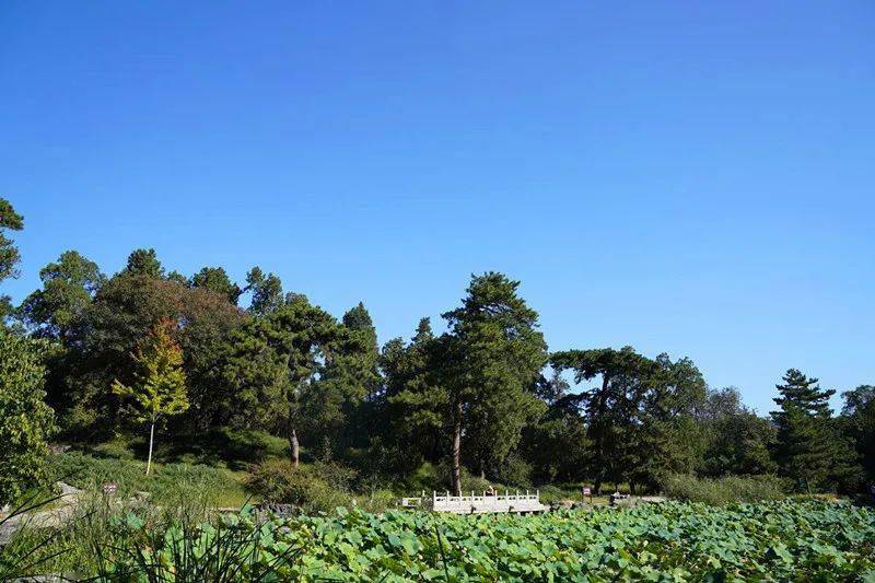 静宜当此日秋色正平分