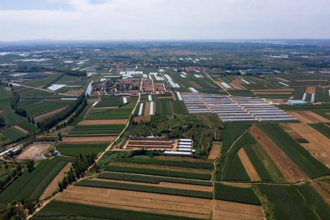 辉光日新940这里是莱西市马连庄